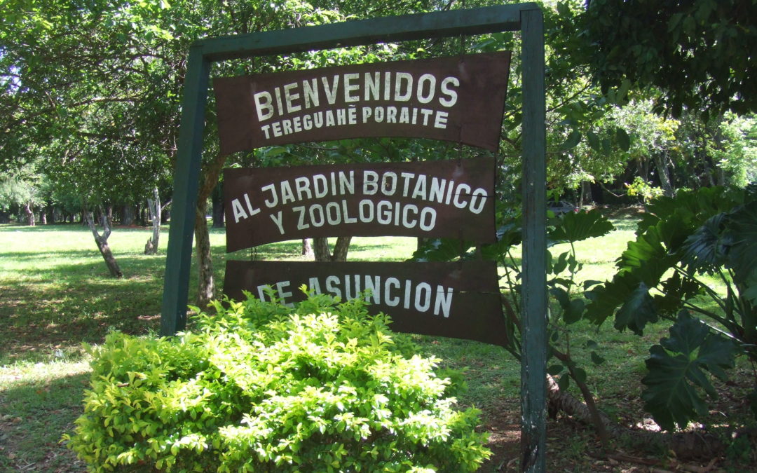Botanical Gardens, Asuncion