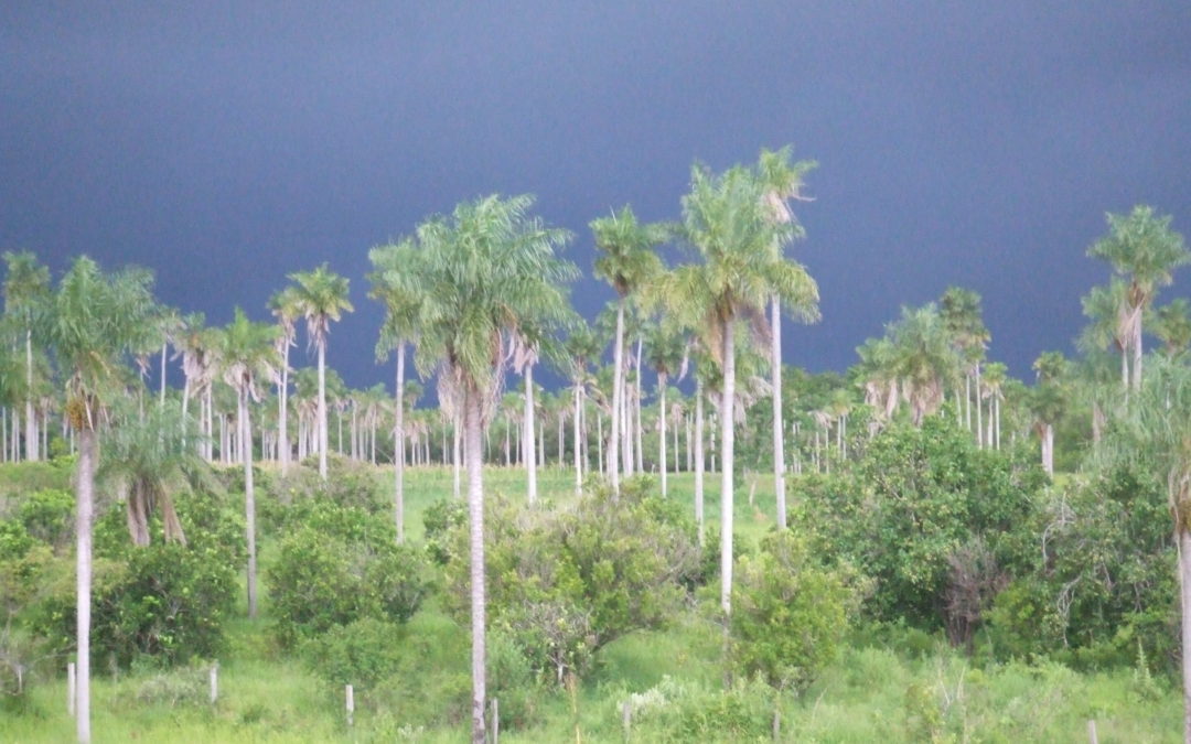 Big Paraguayan storms