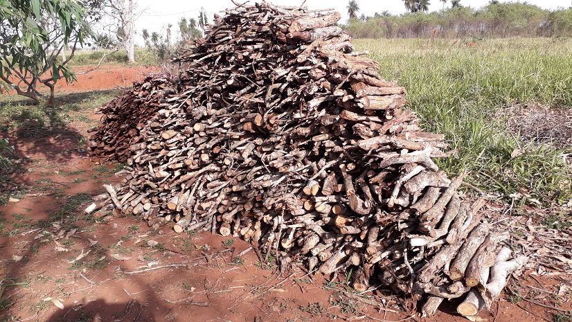 Firewood for cooking