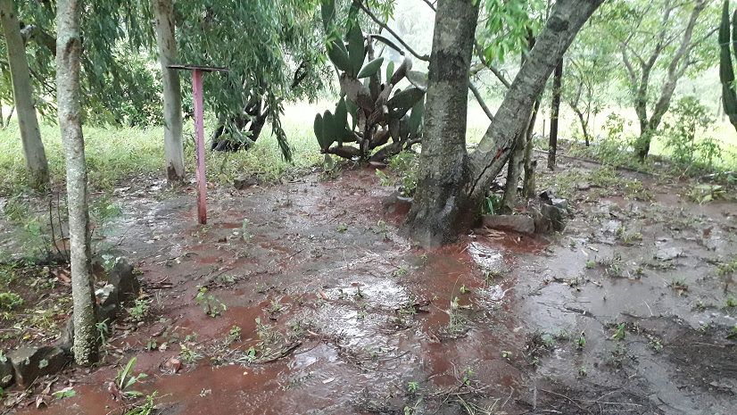 When it rains in Paraguay it really rains